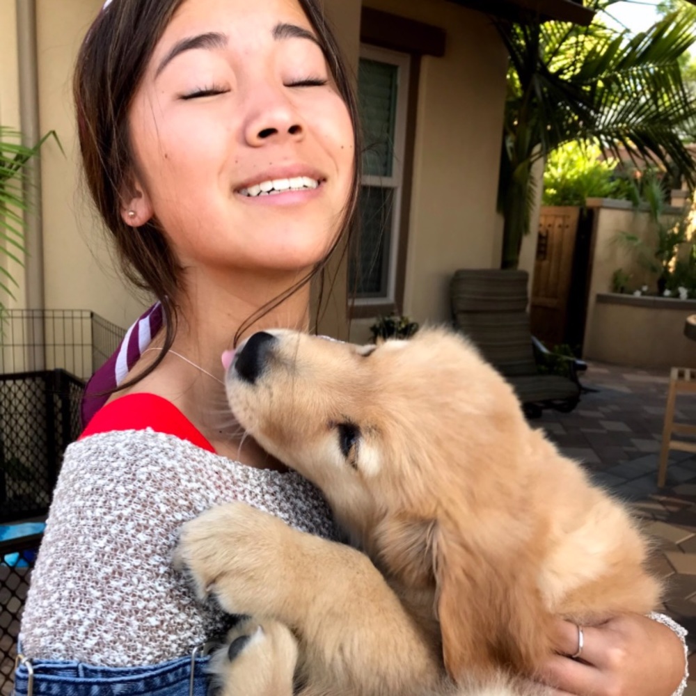 Meet your Posher, Lauren